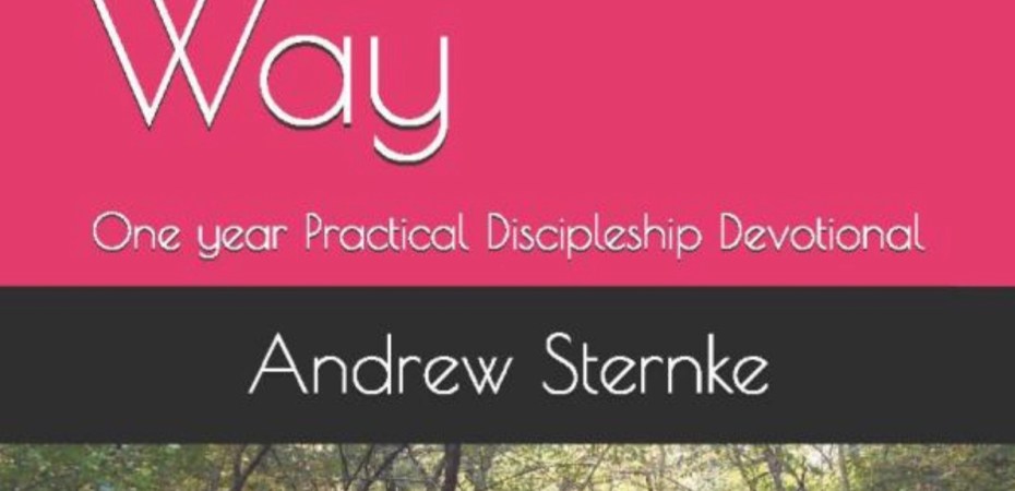 The Narrow Way by Andrew Sternke